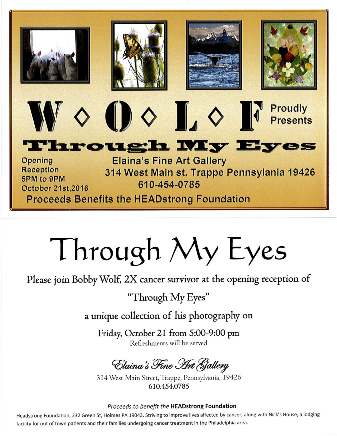 WOLF Proudly Presents: Through My Eyes